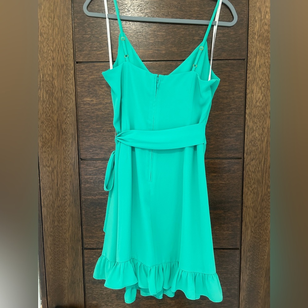 Lilly Pulitzer dress - Picture 2 of 7